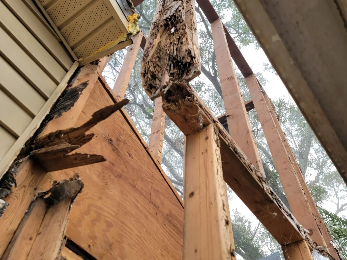 Roof framing timbers rotted through by long term water entry beside a chimney